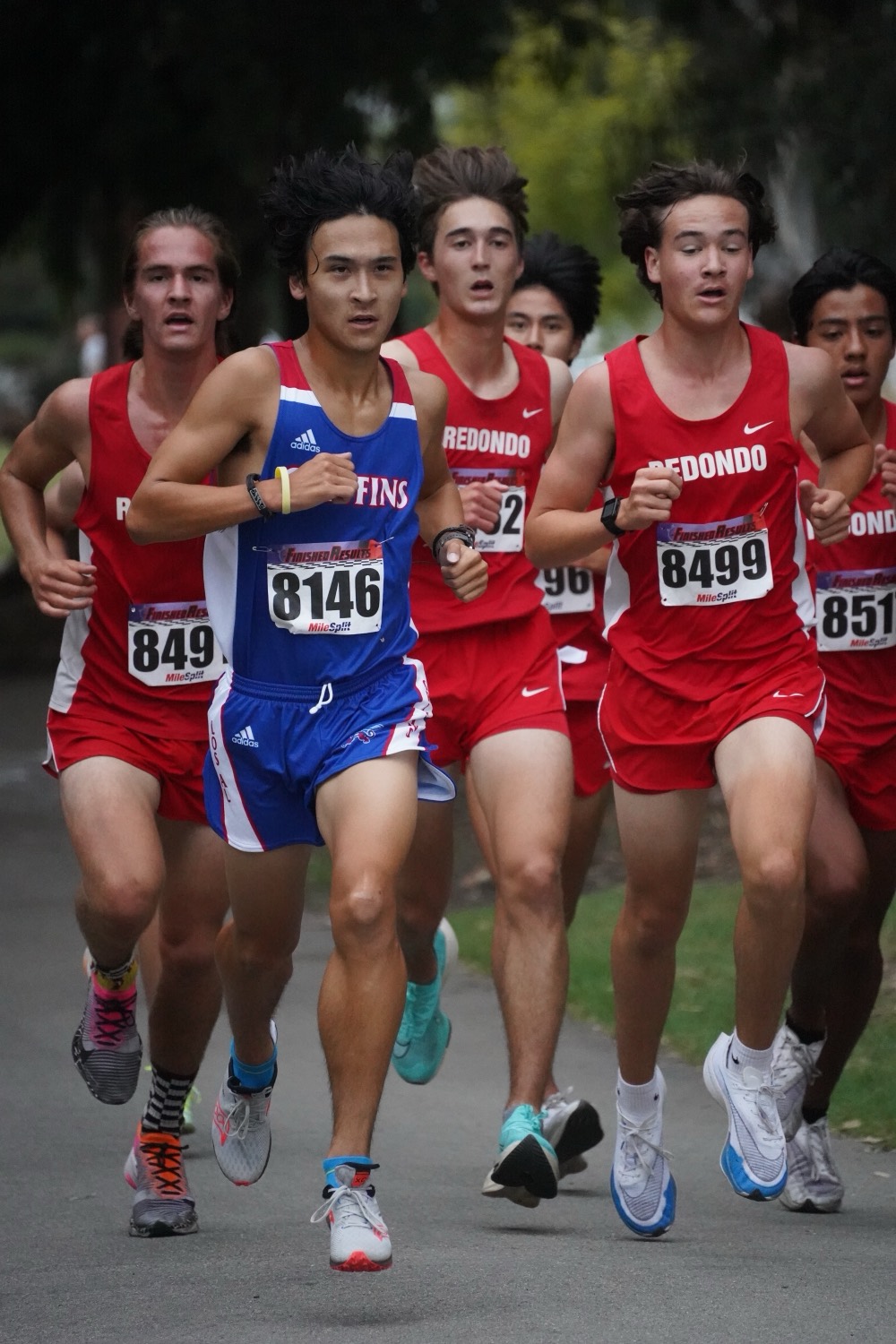 Daniel racing near the front of a cross-country pack, bib 8146